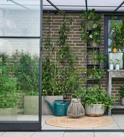 New Model Creates Space for Vegetation on the Wall